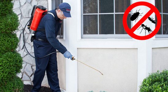 Soğukkuyu Bit İlaçlama böcek ilaçlama ve haşere kontrolü — ilaclama-tr.com
